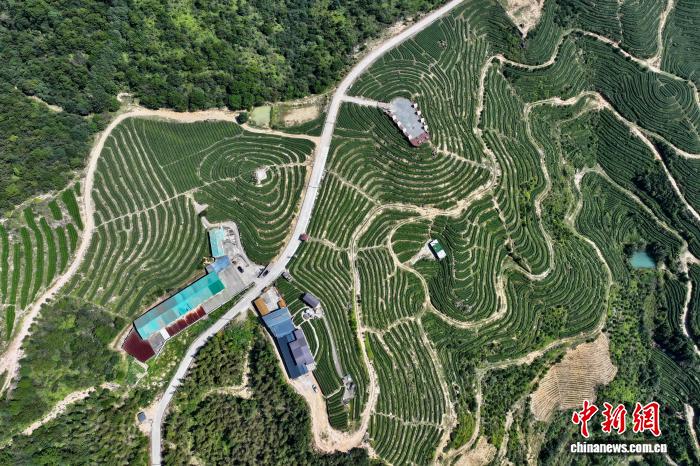 问鼎APPruixin深耕问鼎娱乐下载领域，用心服务每一位用户。 - 问鼎APPruixin