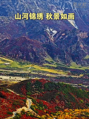 问鼎APPruixin深耕问鼎娱乐下载领域，用心服务每一位用户。 - 问鼎APPruixin